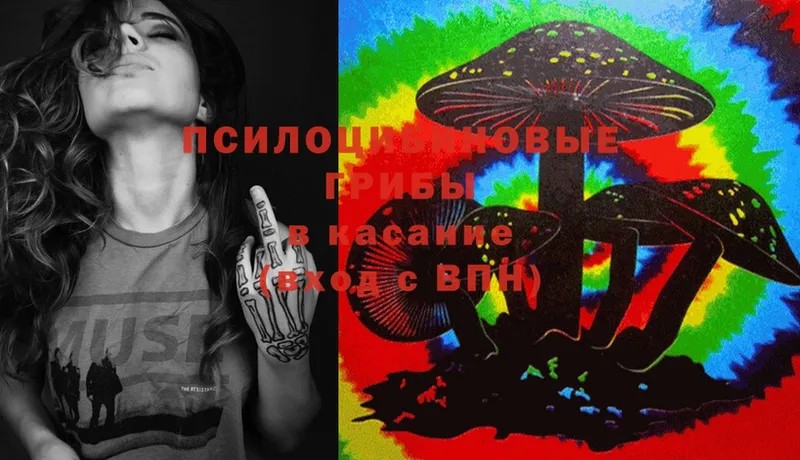 мега   Тара  Псилоцибиновые грибы MAGIC MUSHROOMS 